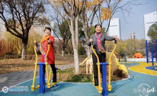 文明實踐新風尚，志愿服務譜新篇——張家港市文明實踐志愿服務主題公園建成投用